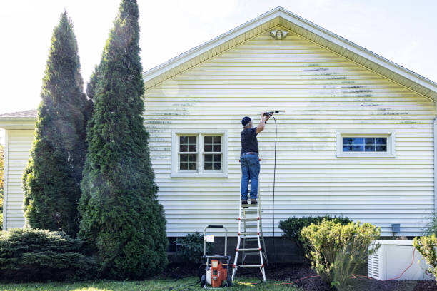 Best Gutter Cleaning  in Tama, IA