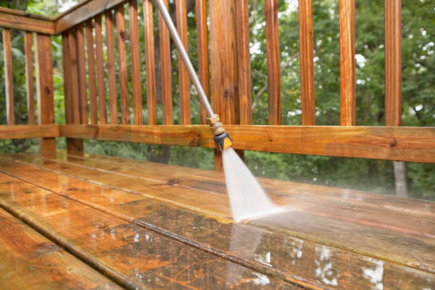 Best Fence Cleaning  in Tama, IA